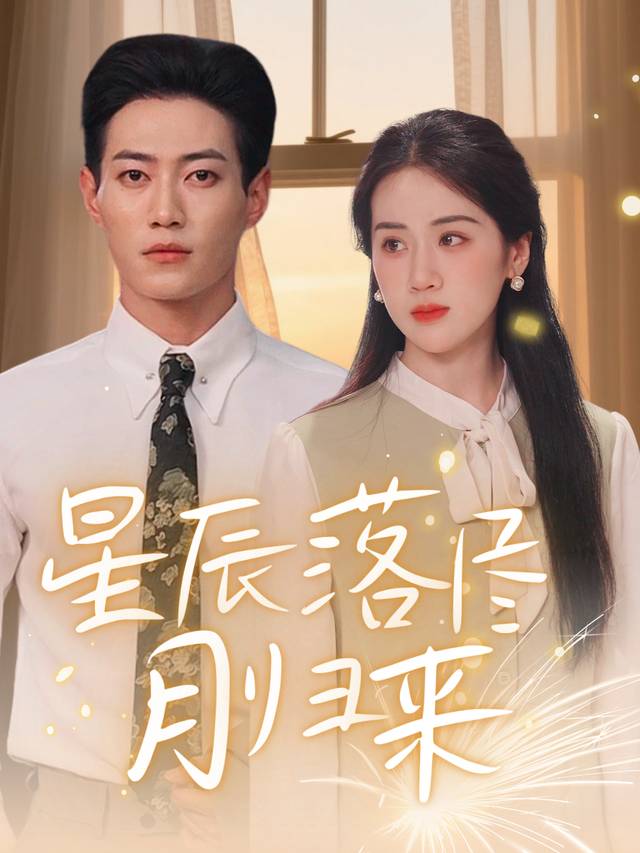 星辰落尽月归来封面