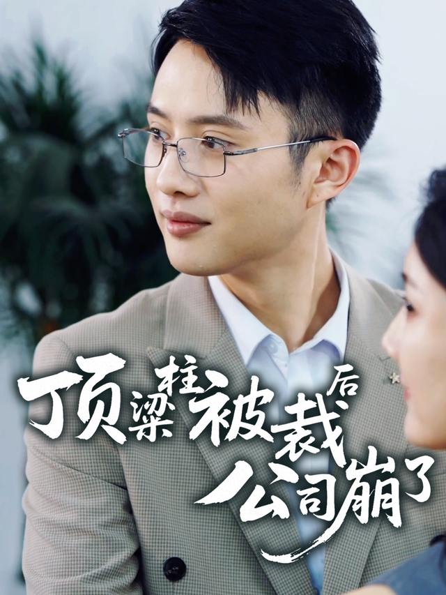 顶梁柱被裁后公司崩了封面