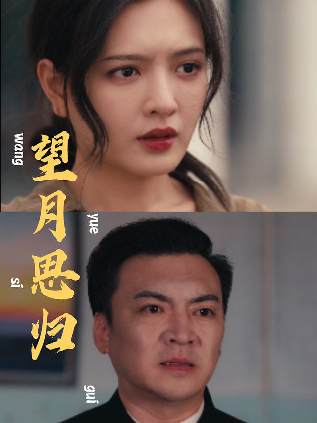 望月思归封面