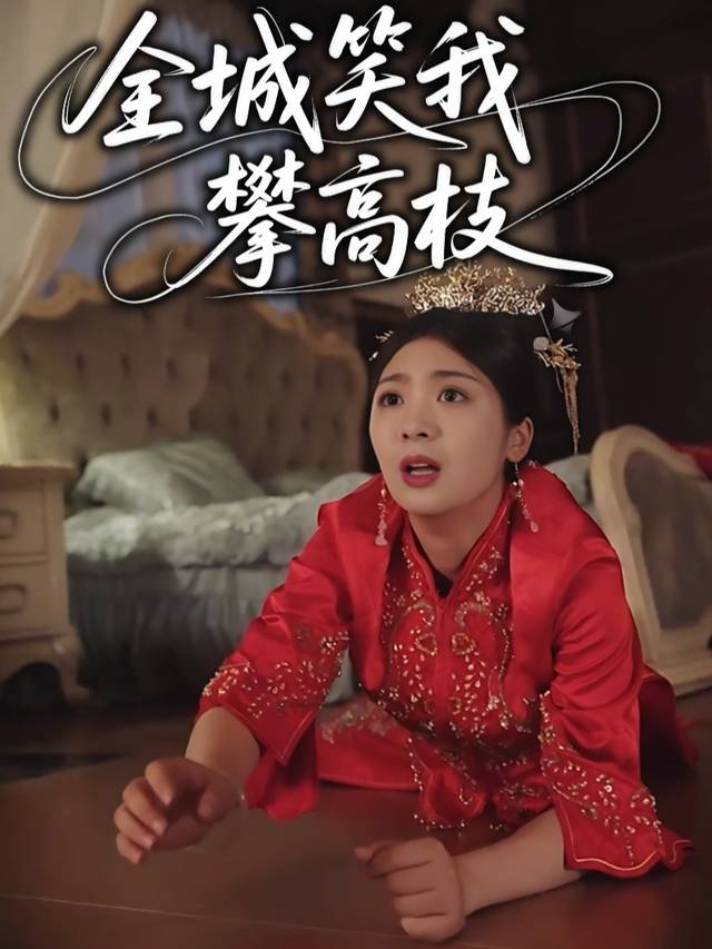 全城笑我攀高枝封面