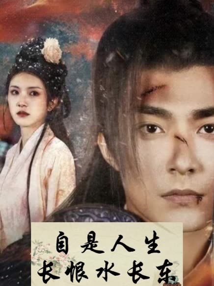 自是人生长恨水长东封面