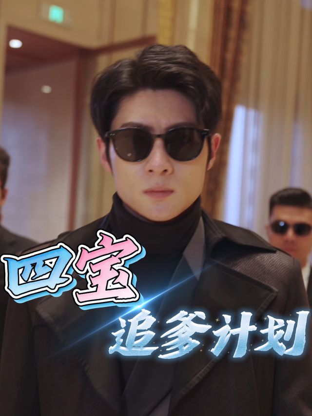 四宝追爹计划封面