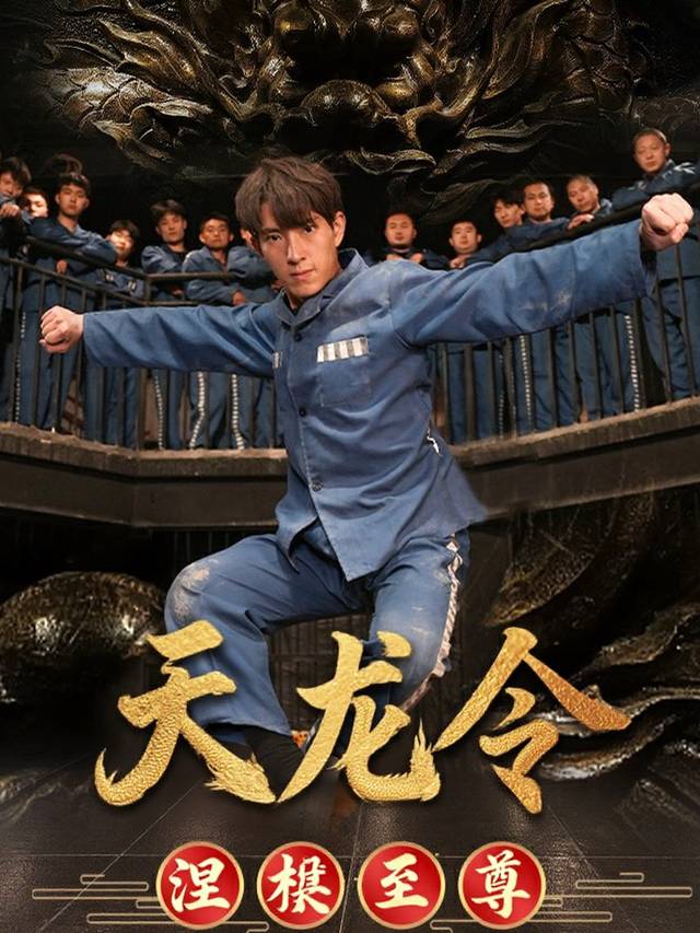 天龙令之涅槃至尊封面