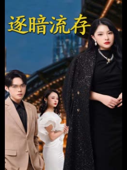 逐暗流存封面