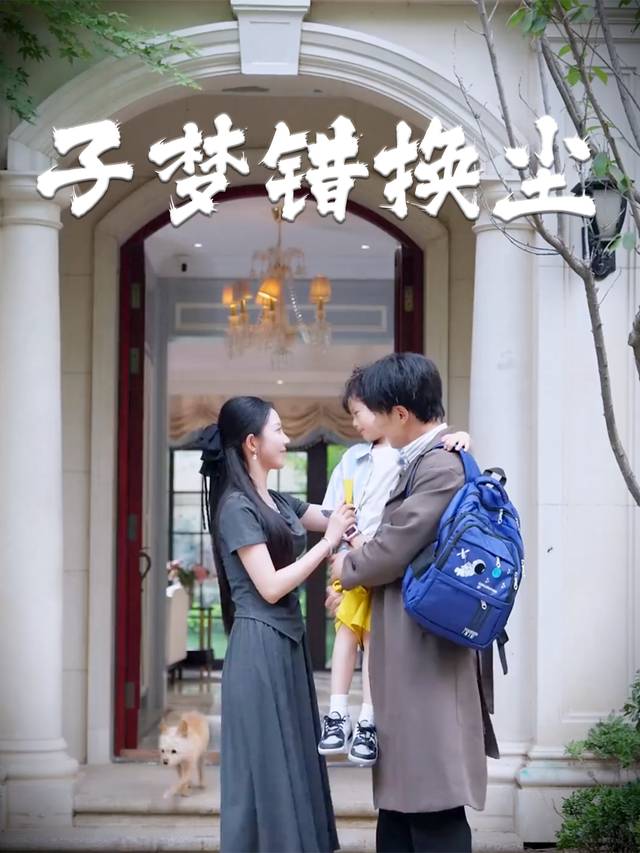 子梦错换尘封面
