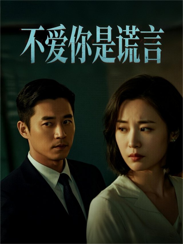 不爱你是谎言封面