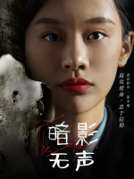 暗影无声封面