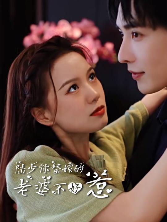 陆少,你替嫁的老婆不好惹封面