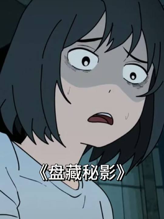 盘藏秘影封面