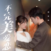 不完美恋爱封面