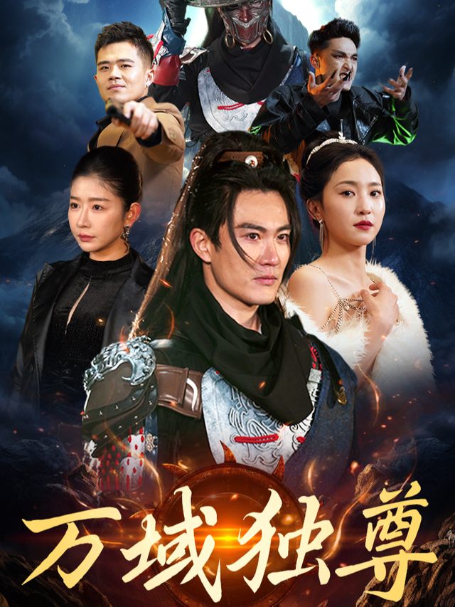 万域独尊封面