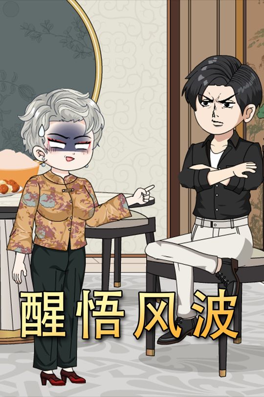 醒悟风波封面