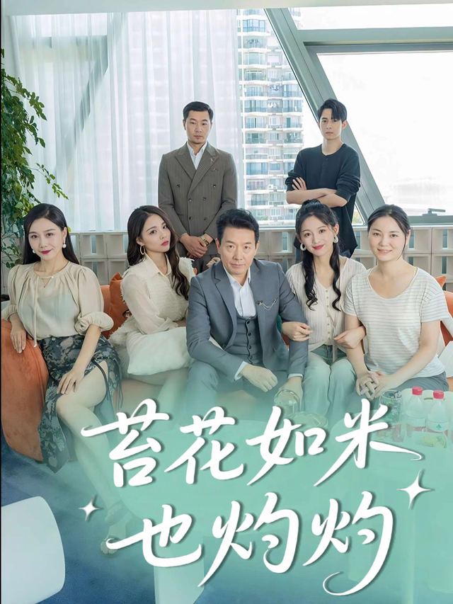 苔花如米也灼灼封面