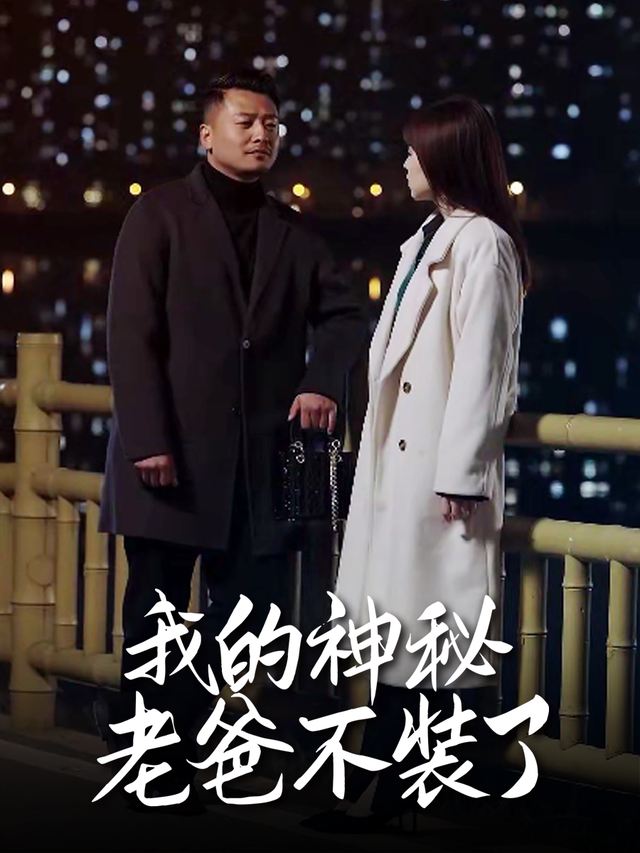 我的神秘老爸不装了封面