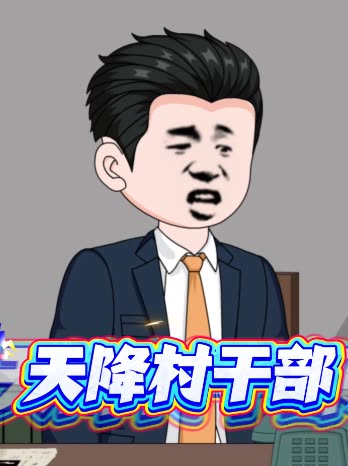 天降村干部封面
