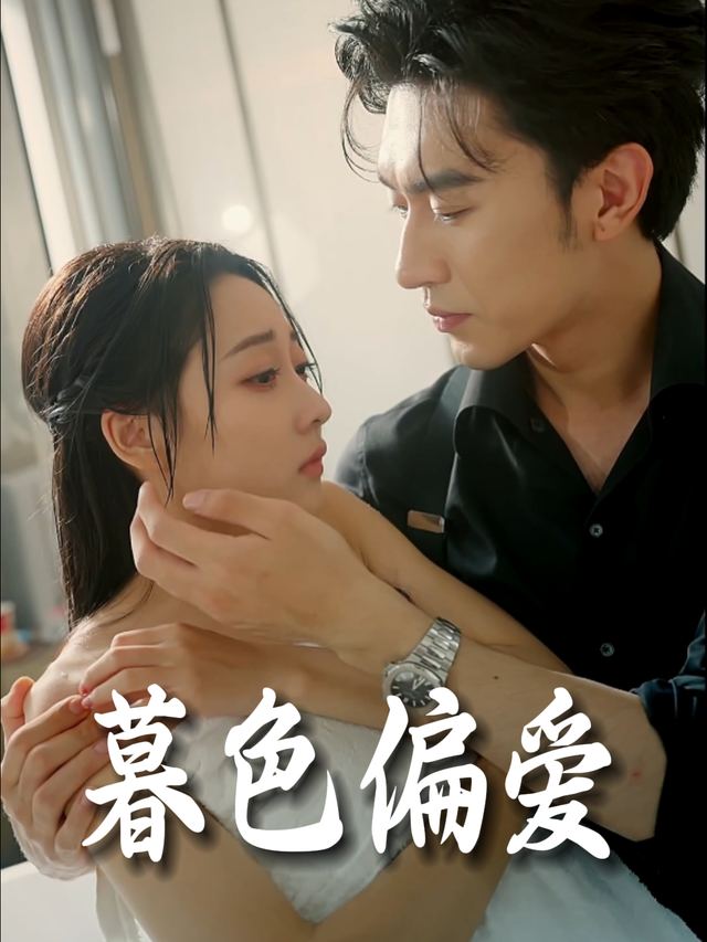 暮色偏爱封面
