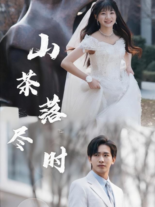 山茶落尽时封面