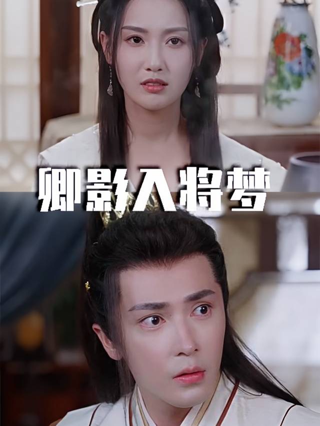 卿影入将梦封面