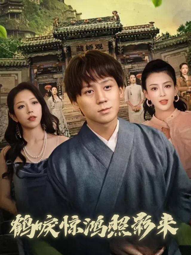 鹤唳惊鸿照影来封面