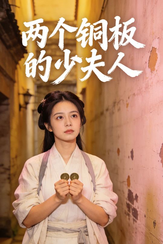 两个铜板的少夫人封面