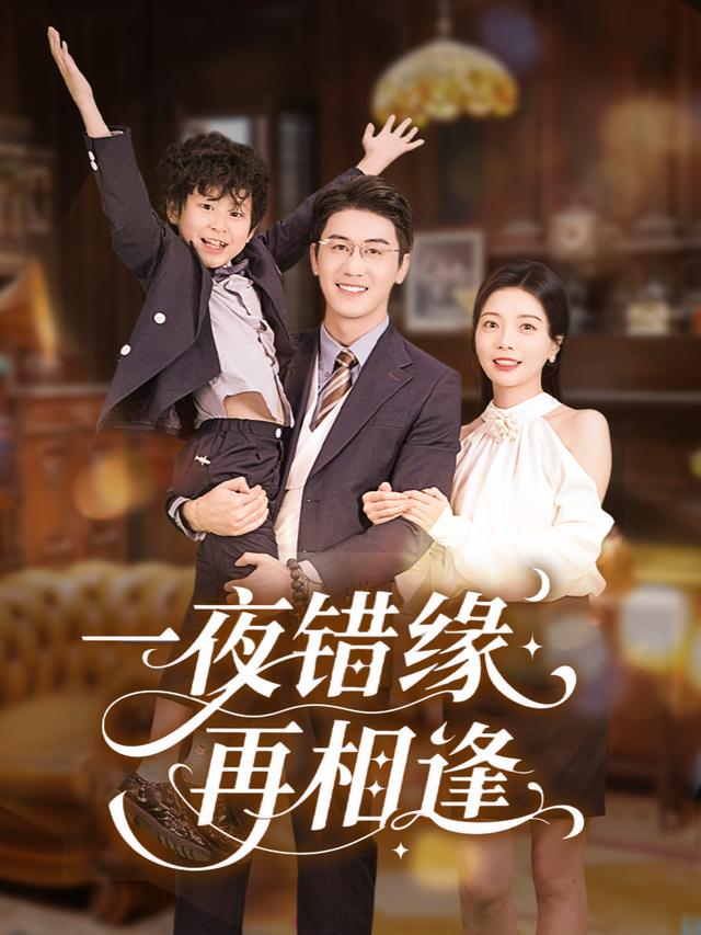 一夜错缘再相逢封面
