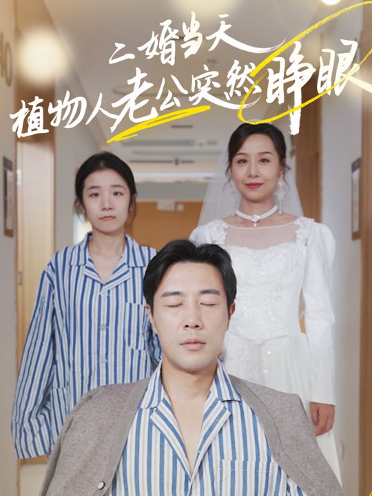 半路爱情封面