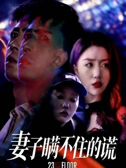 妻子瞒不住的谎封面