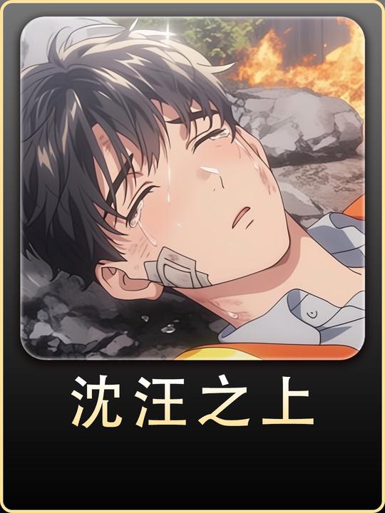 沈汪之上封面