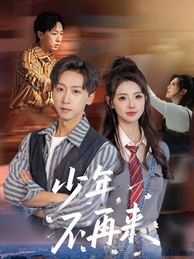 少年不再来封面