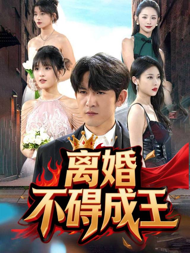 离婚不碍成王封面