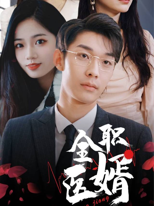 全职医婿封面