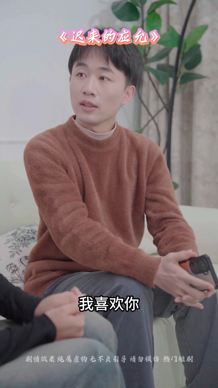迟来的应允封面