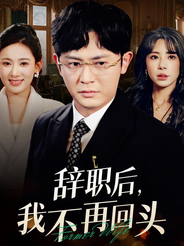 辞职后,我不再回头封面