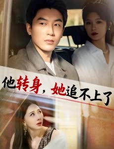 他转身,她追不上了封面