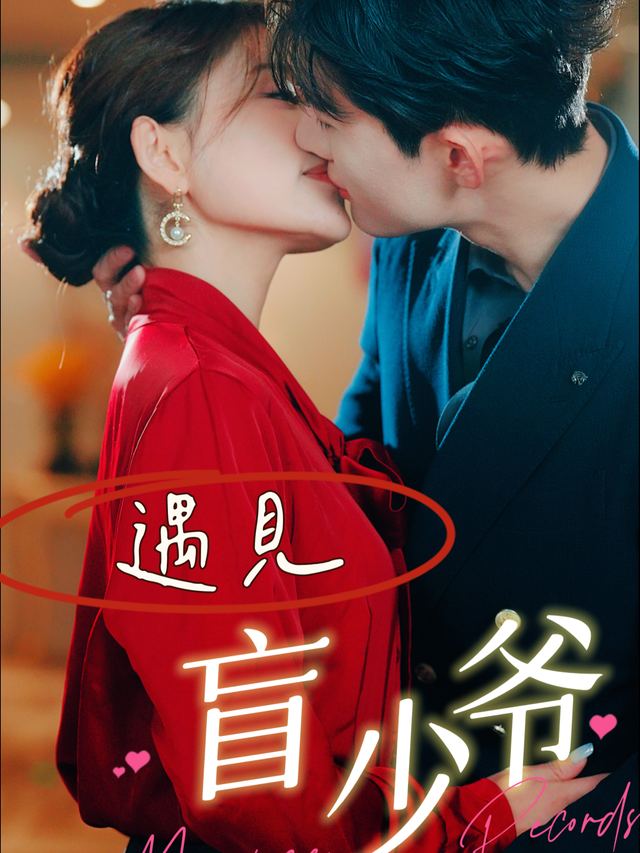 遇见盲少爷封面