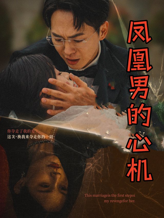凤凰男的心机封面