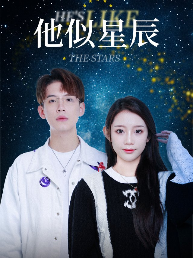 他似星辰封面