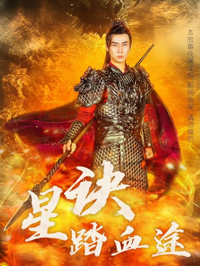 星诀踏血途封面