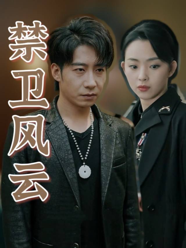 禁卫风云封面