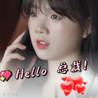 hello 总裁封面
