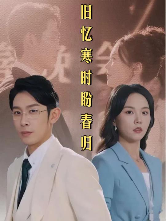 旧忆寒时盼春归封面