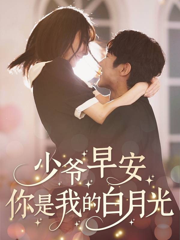 少爷早安:你是我的白月光封面