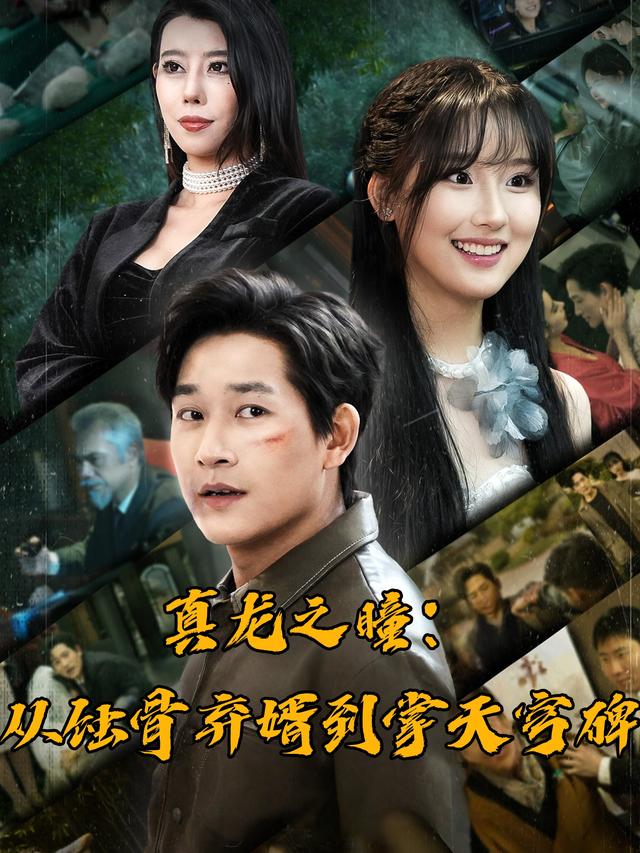 真龙之瞳:从蚀骨弃婿到掌天穹碑封面