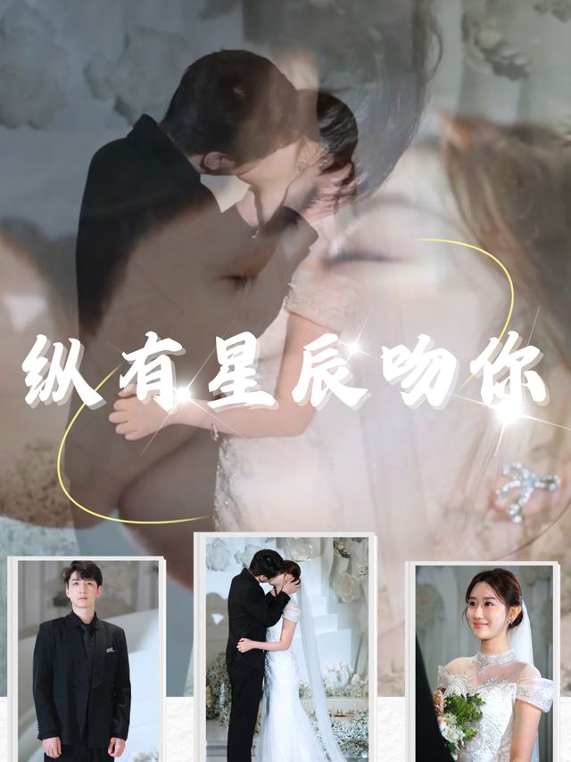 纵有星辰吻你封面