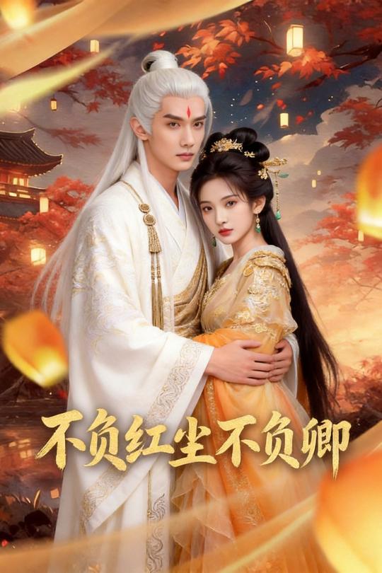 不负红尘不负卿封面