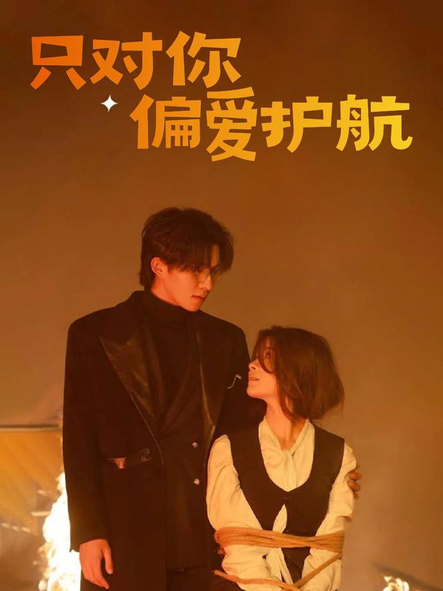 只对你偏爱护航封面