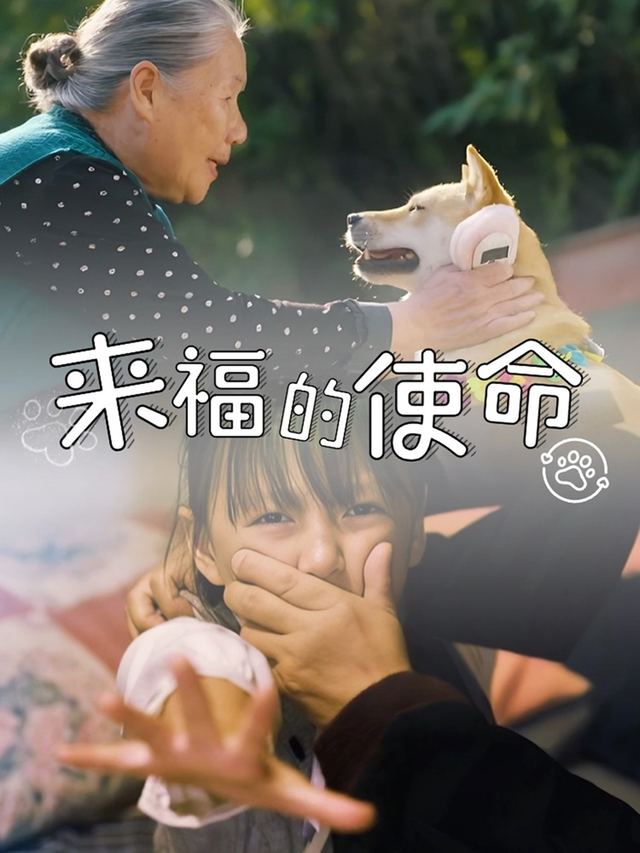 来福的使命封面