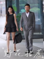 野花招惹封面