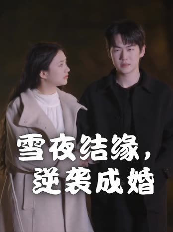 雪夜结缘,逆袭成婚封面