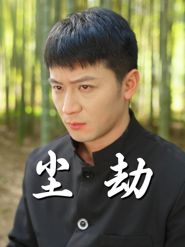 尘劫封面